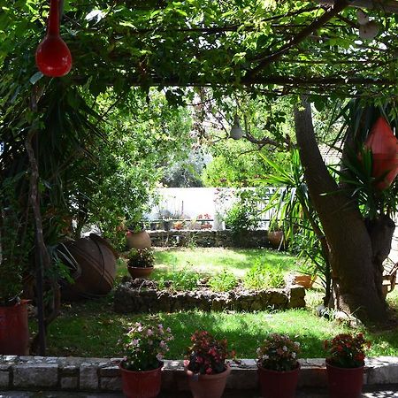 Chouchounikos Apartments Лефокастро Экстерьер фото